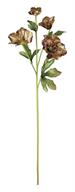 Artificial Coffee & Gold Glitter Helleborus Spray - 26" - Greenery MarketArtificial FloraXF692-COF