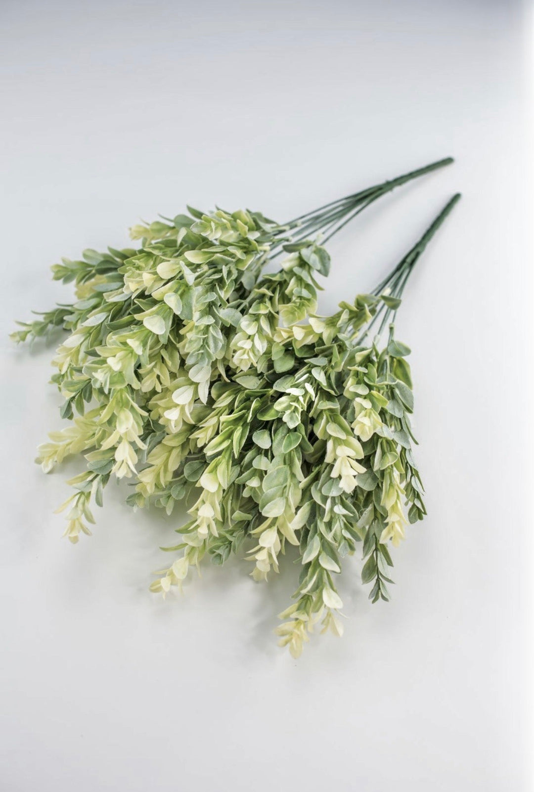 Artificial, cream green, boxwood bush x 2 bushes - Greenery MarketGreenery43353