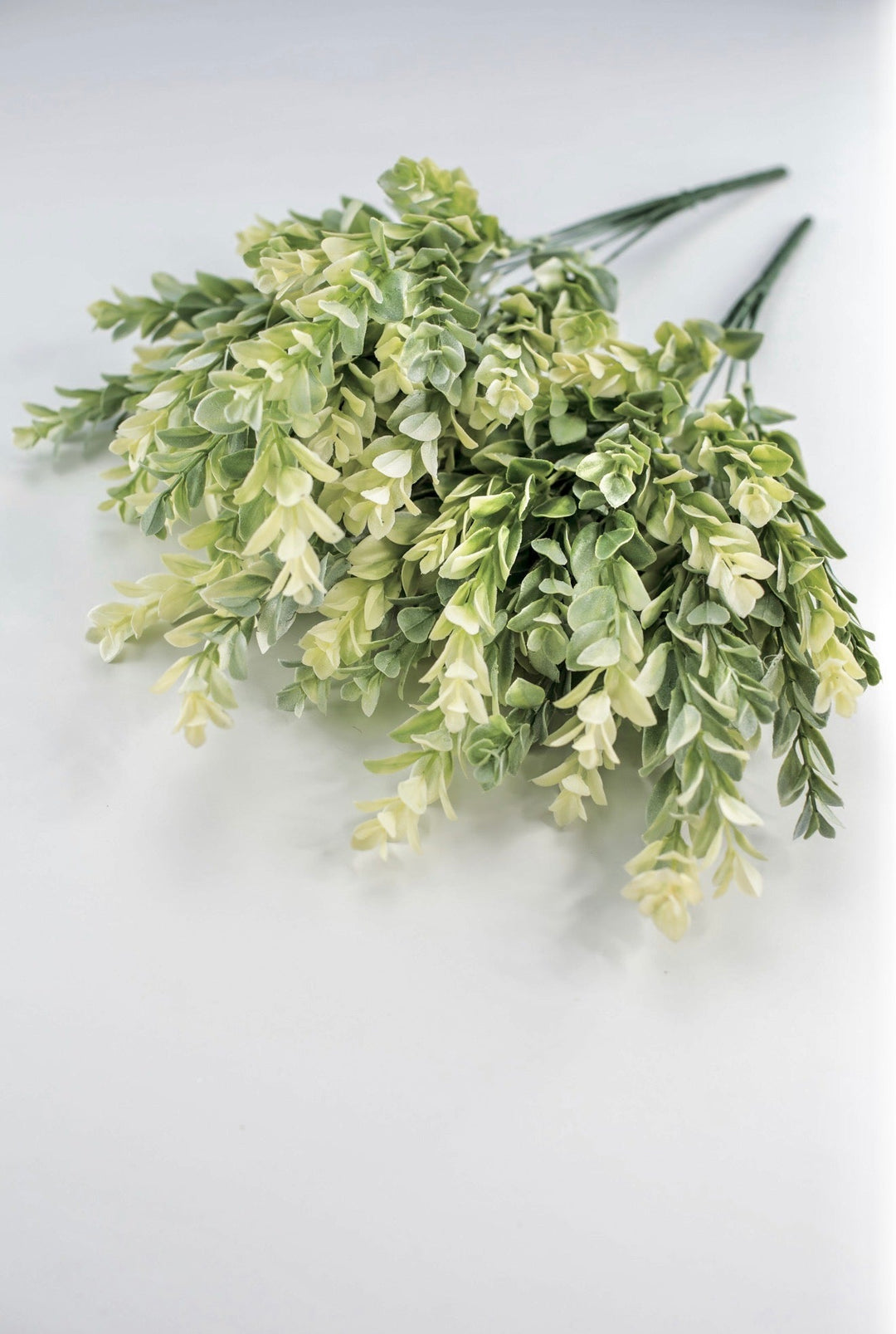 Artificial, cream green, boxwood bush x 2 bushes - Greenery MarketGreenery43353
