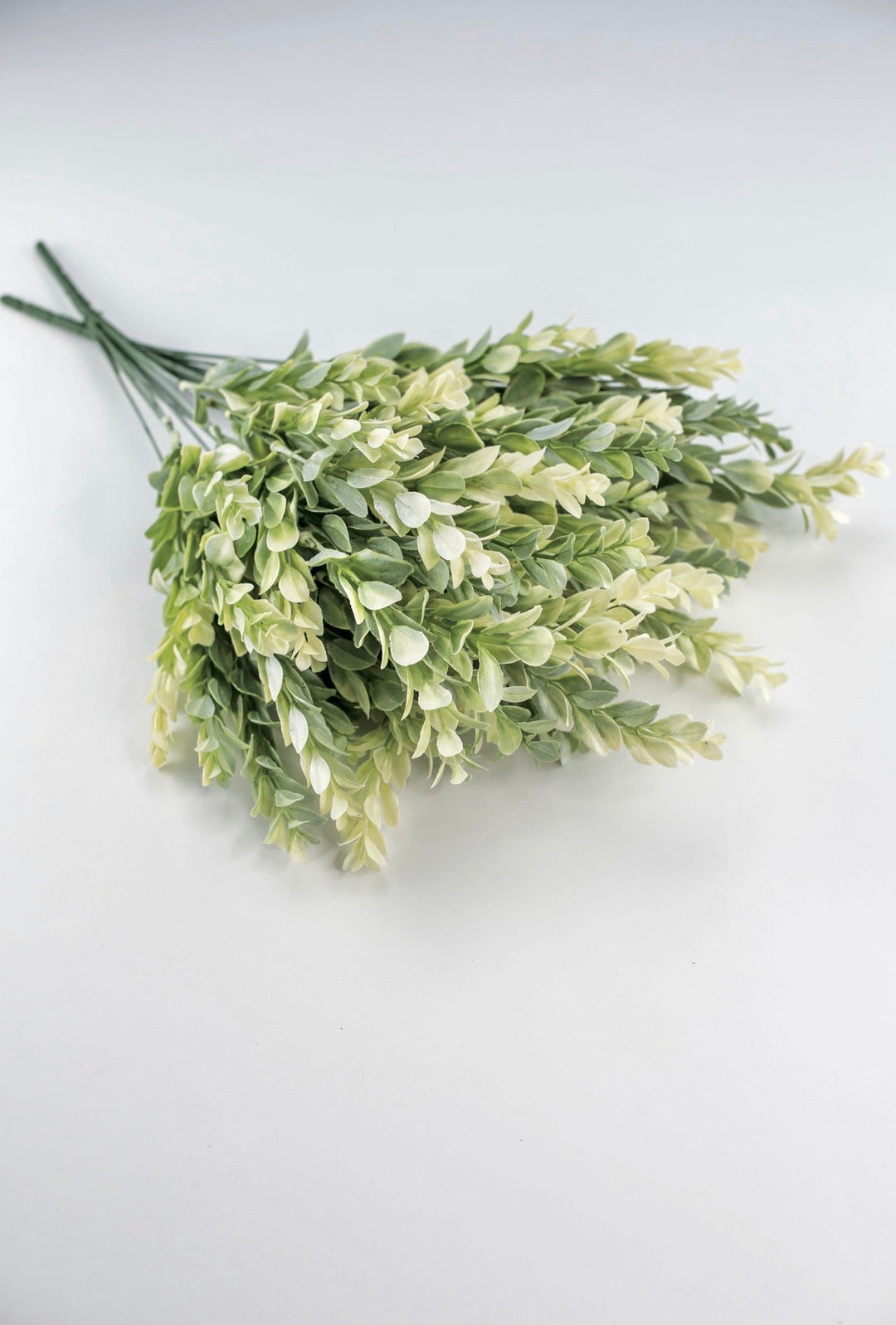 Artificial, cream green, boxwood bush x 2 bushes - Greenery MarketGreenery43353