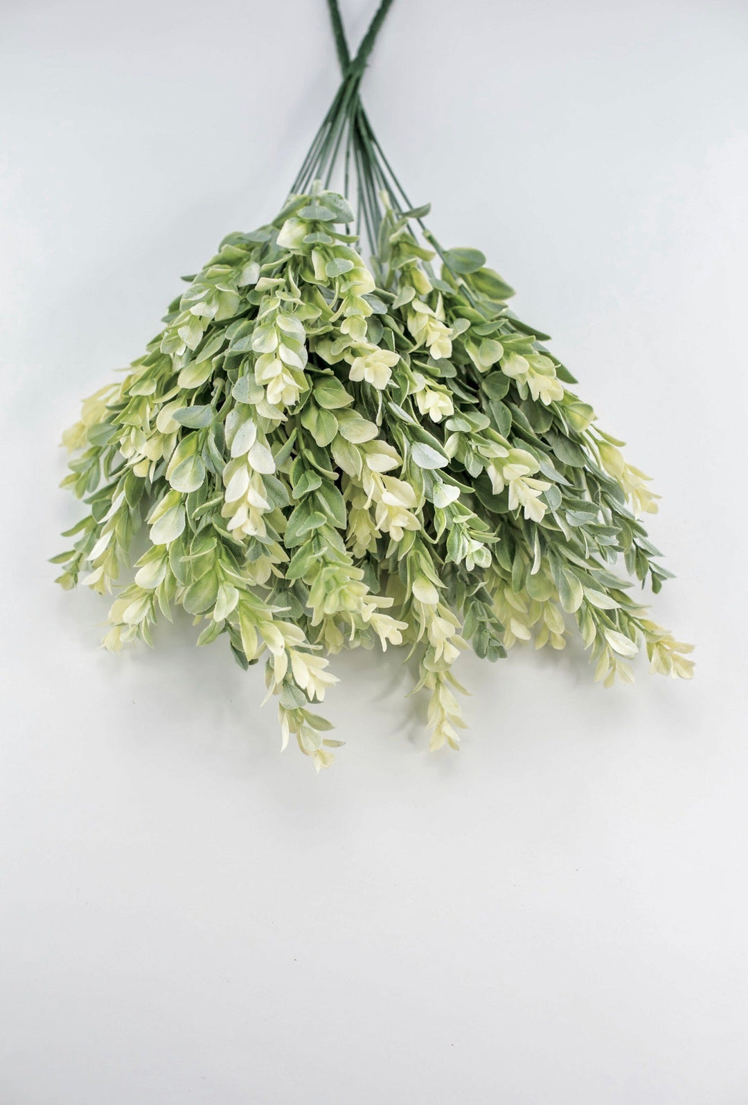 Artificial, cream green, boxwood bush x 2 bushes - Greenery MarketGreenery43353