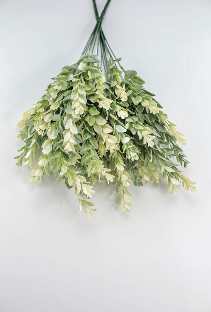 Artificial, cream green, boxwood bush x 2 bushes - Greenery MarketGreenery43353