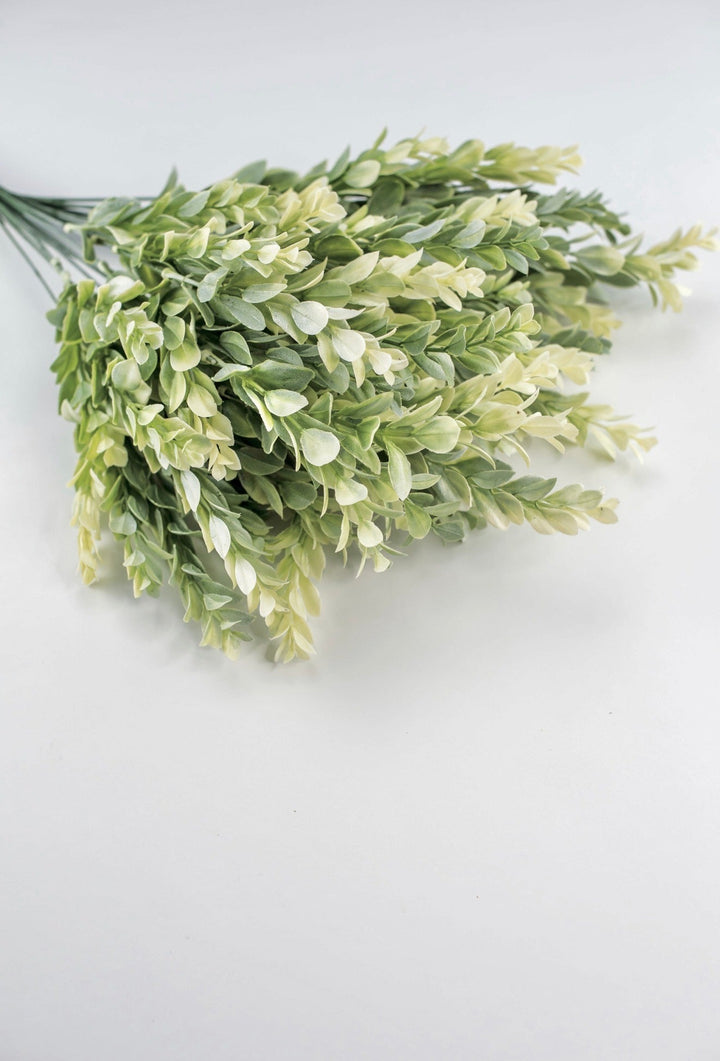 Artificial, cream green, boxwood bush x 2 bushes - Greenery MarketGreenery43353