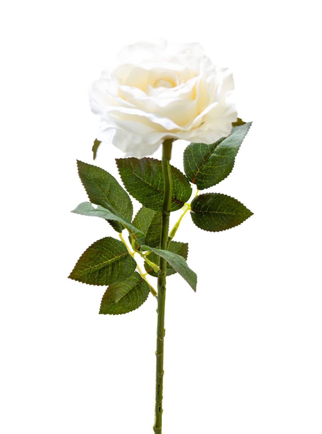 Artificial, Cream Rose Stem - 28" - Greenery Market2221043CR