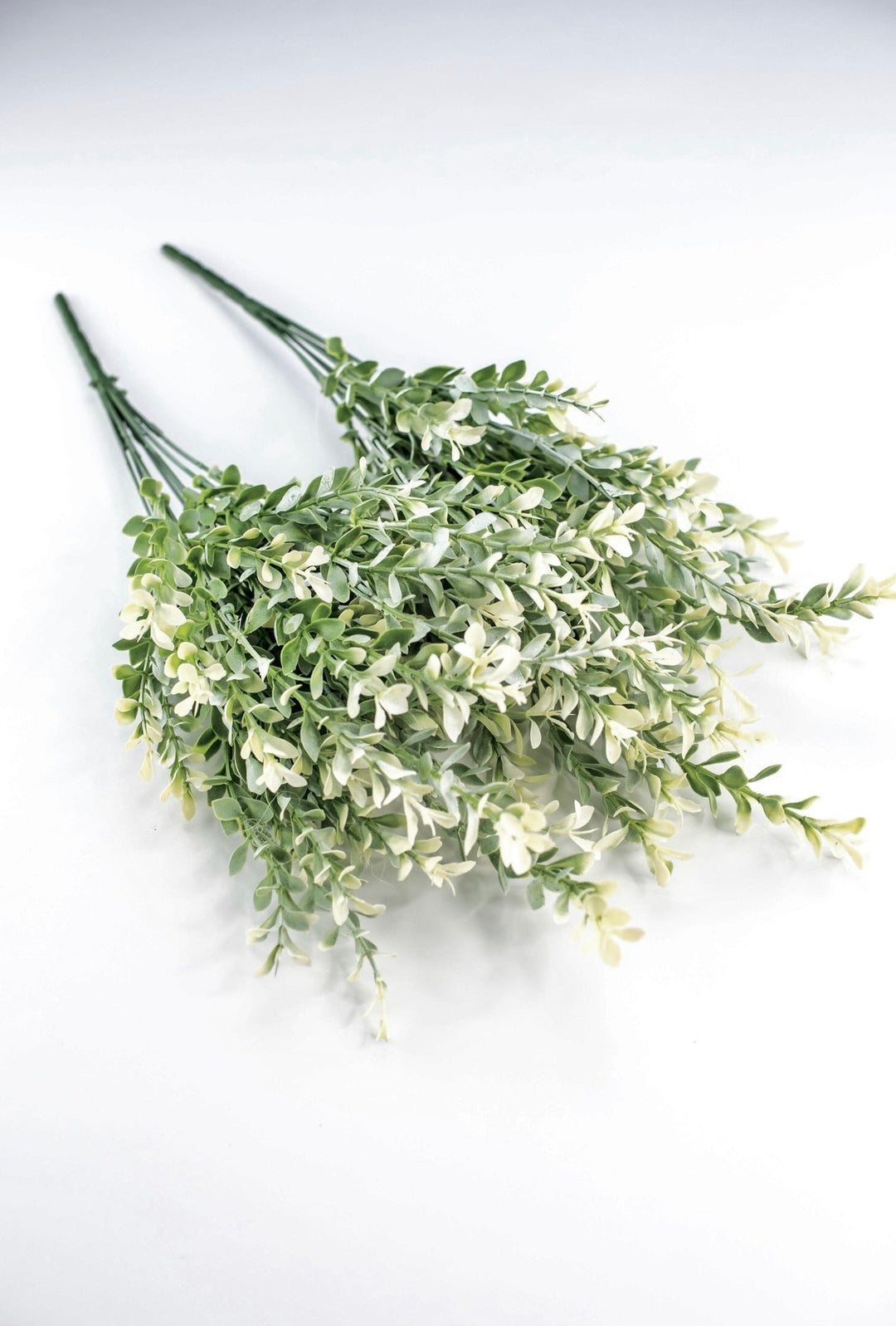 Artificial, cream tipped, boxwood bush x 2 bushes - Greenery Marketgreenery43236