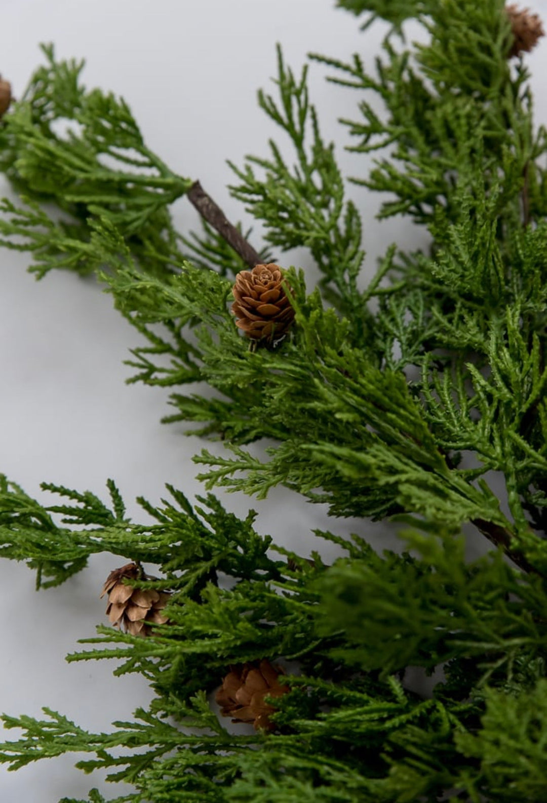 Artificial cypress and cone bush - Greenery MarketWinter and Christmas2830197GR