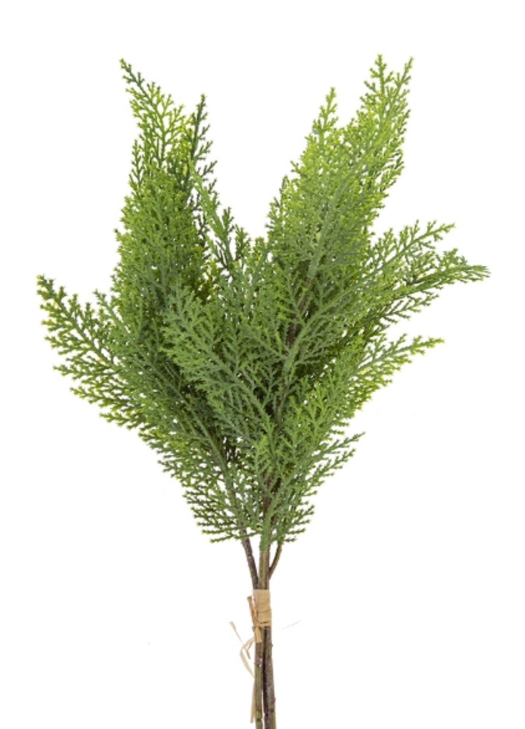 Artificial, cypress bundle - Greenery Market2310447GR