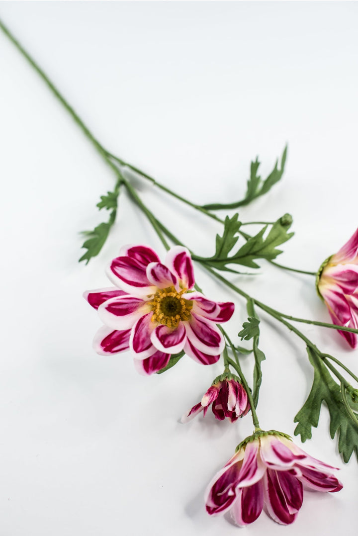 Artificial, Daisy Flower Spray - Magenta - Greenery Market6482 - MAG