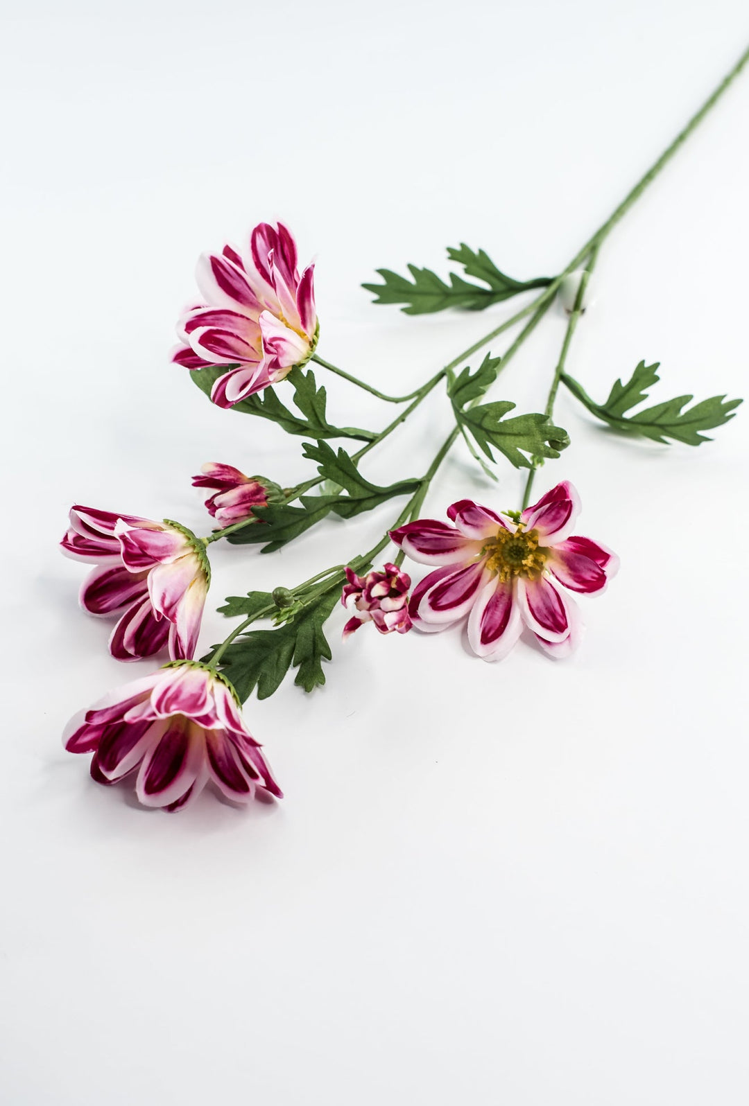 Artificial, Daisy Flower Spray - Magenta - Greenery Market6482 - MAG