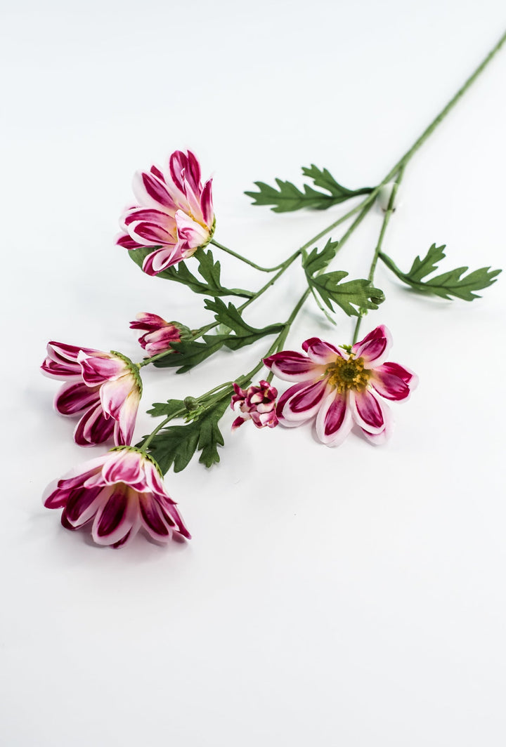 Artificial, Daisy Flower Spray - Magenta - Greenery Market6482 - MAG