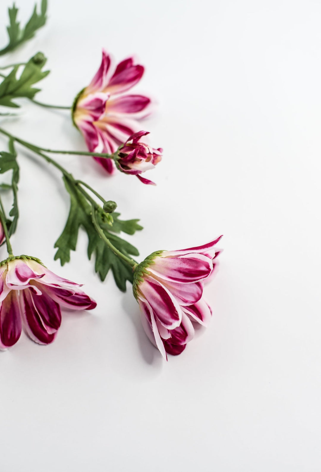 Artificial, Daisy Flower Spray - Magenta - Greenery Market6482 - MAG