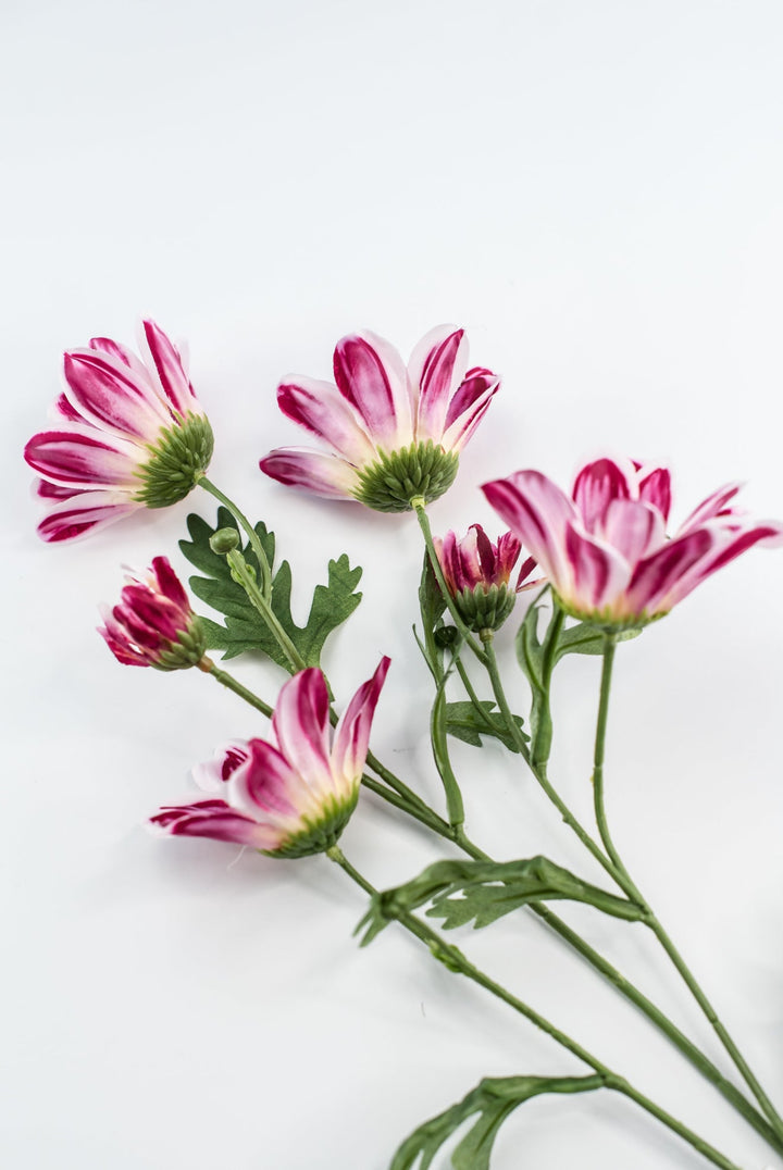 Artificial, Daisy Flower Spray - Magenta - Greenery Market6482 - MAG