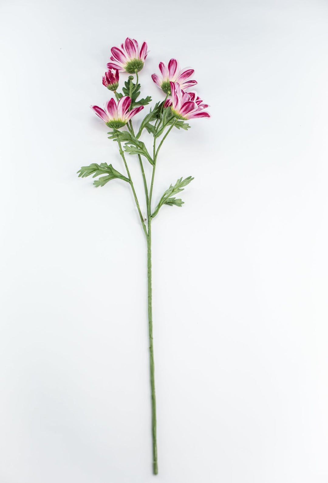 Artificial, Daisy Flower Spray - Magenta - Greenery Market6482 - MAG