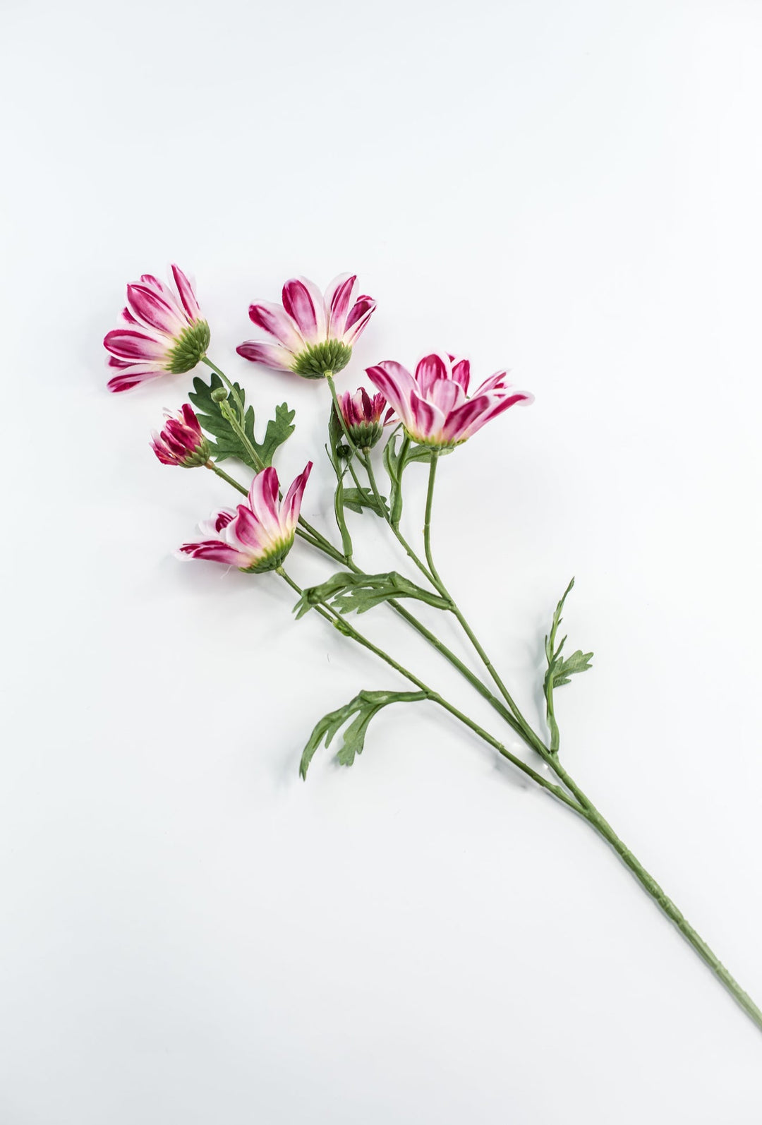 Artificial, Daisy Flower Spray - Magenta - Greenery Market6482 - MAG