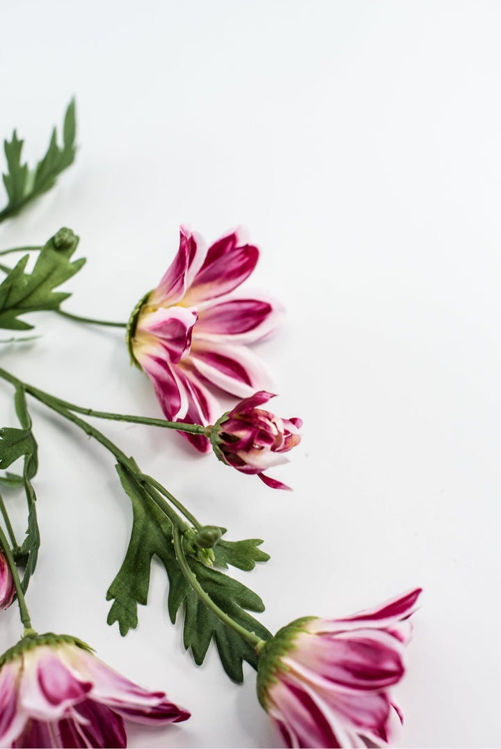 Artificial, Daisy Flower Spray - Magenta - Greenery Market6482 - MAG