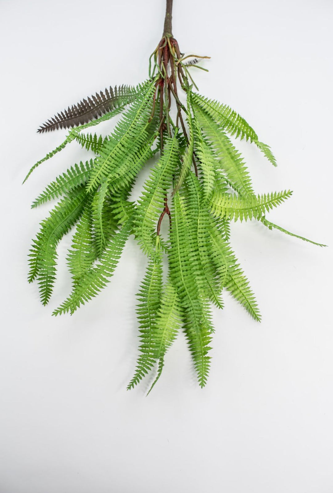 artificial hanging fern plants Artificial, feather fern plant