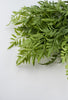 Artificial fern bush - Greenery Market27500