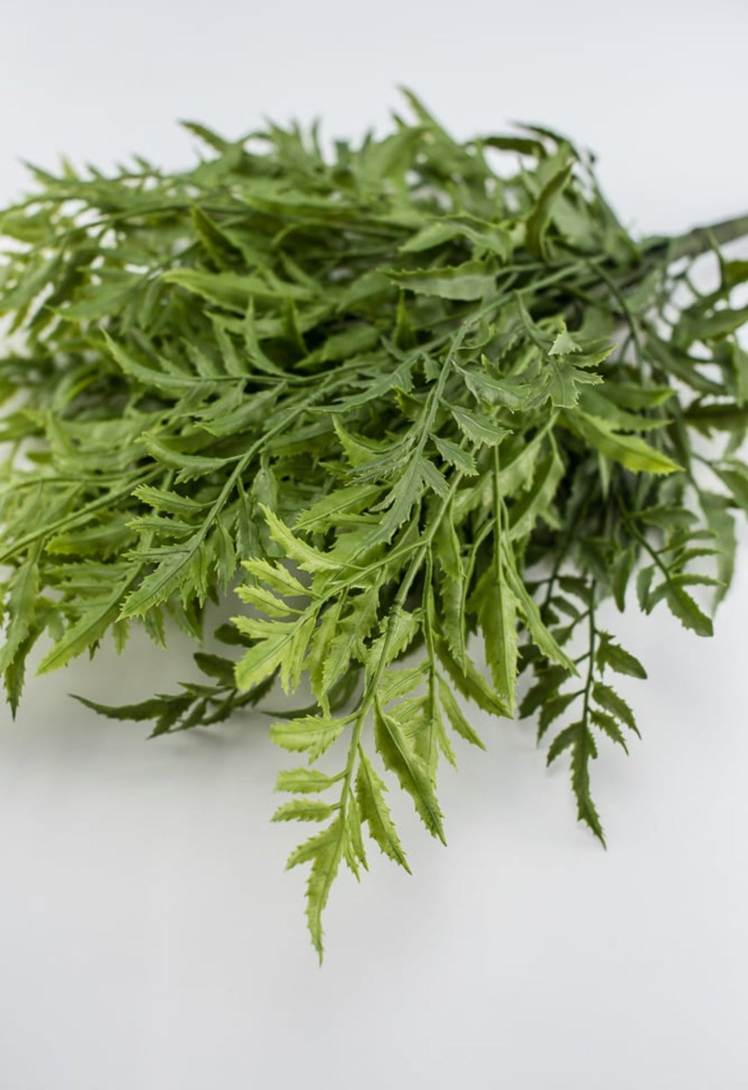 Artificial fern bush - Greenery Market27500