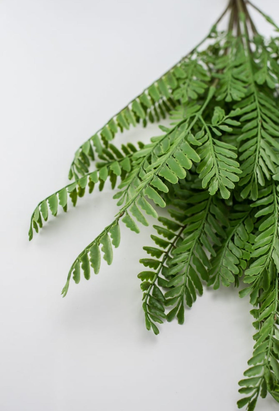 Artificial fern bush - Greenery Market27645