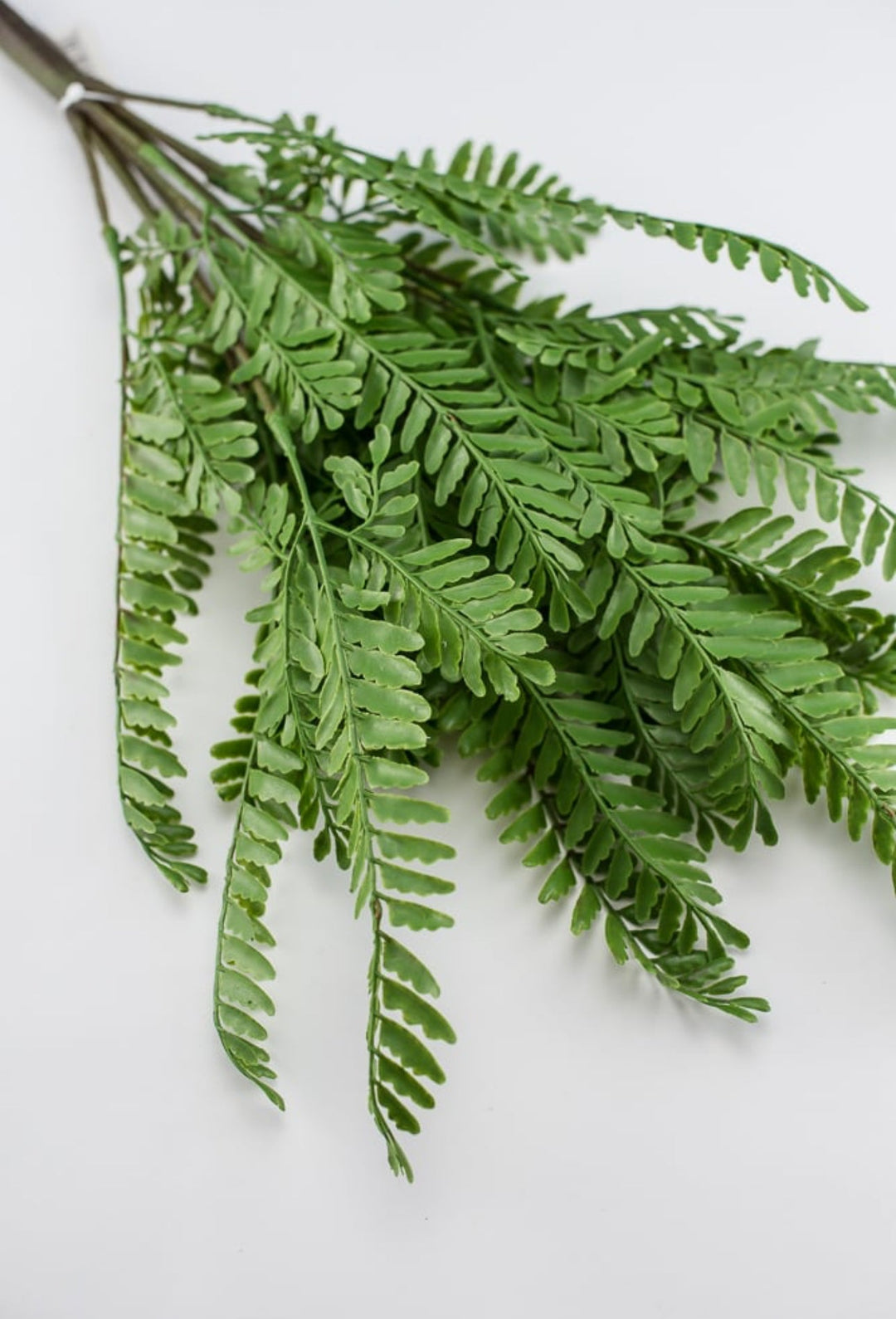 Artificial fern bush - Greenery Market27645