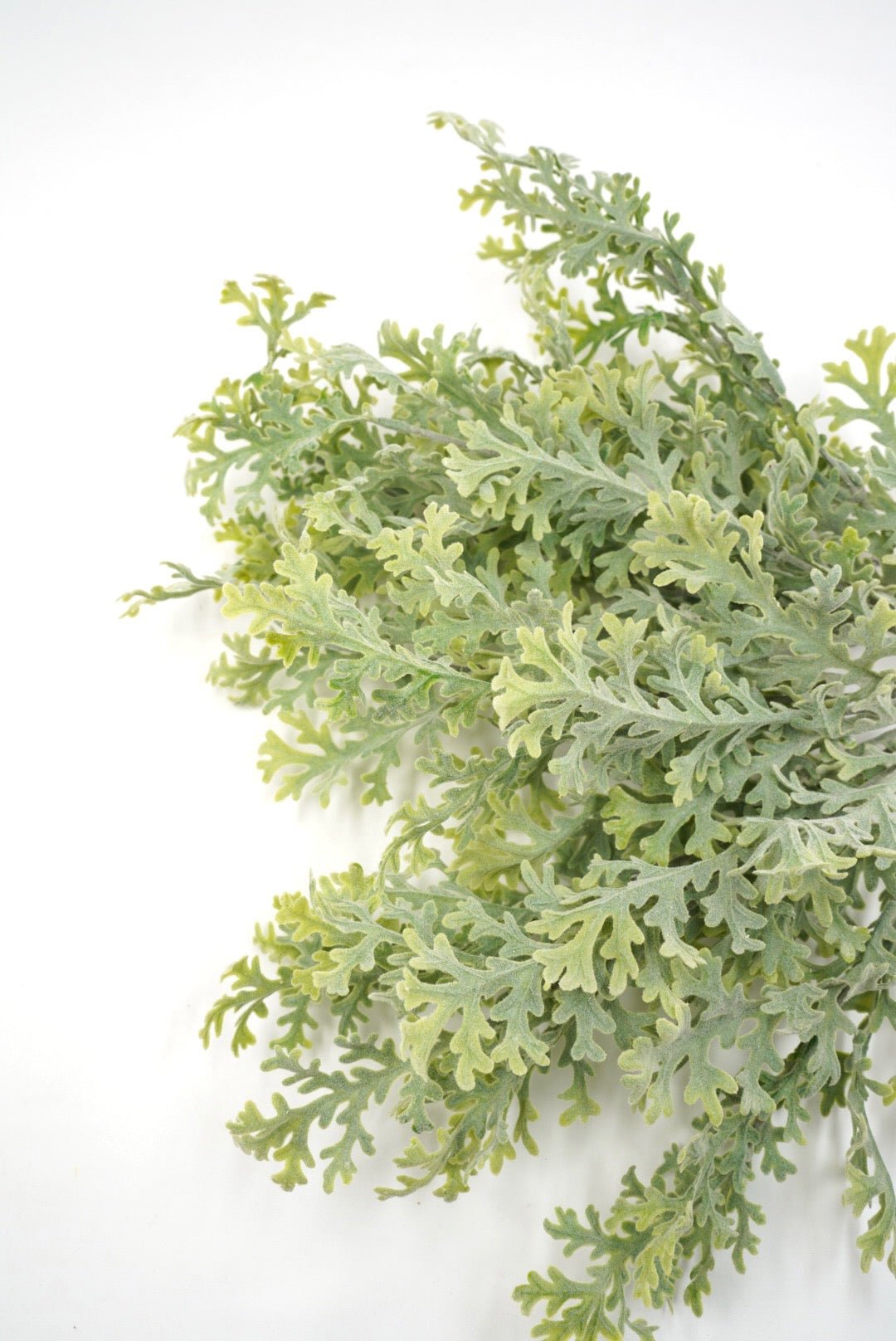 Artificial flocked Dusty Miller bush - Greenery Marketgreenery25890