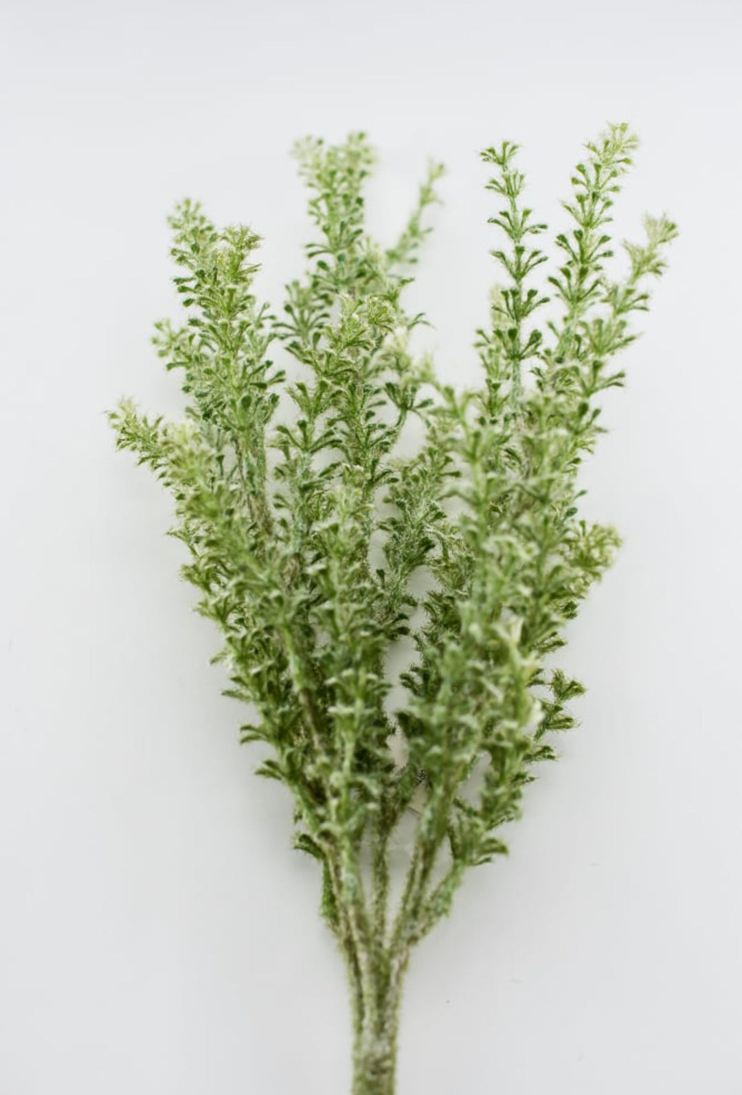 Artificial foliage bush - green - Greenery Market27418