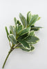 Artificial foliage bush - soft touch - Greenery Market27667
