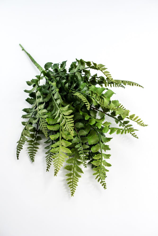 Artificial, Forest Fern Bush - Greenery MarketPBF540 - GR