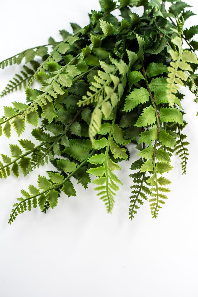 Artificial, Forest Fern Bush - Greenery MarketPBF540 - GR