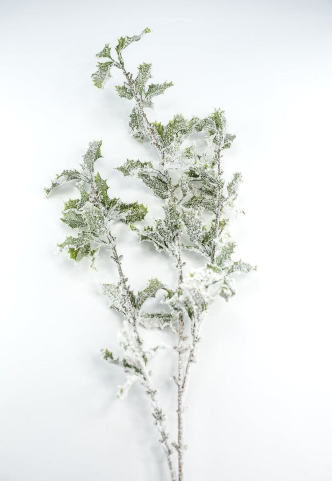 Artificial, frosted, holly greenery spray - Greenery Marketgreenery231826