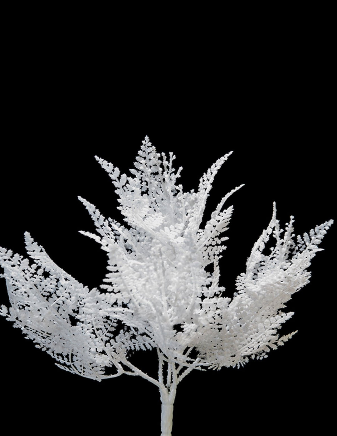 Artificial, Frosted White, Leaf Bush - 20" - Greenery Market2825290WH