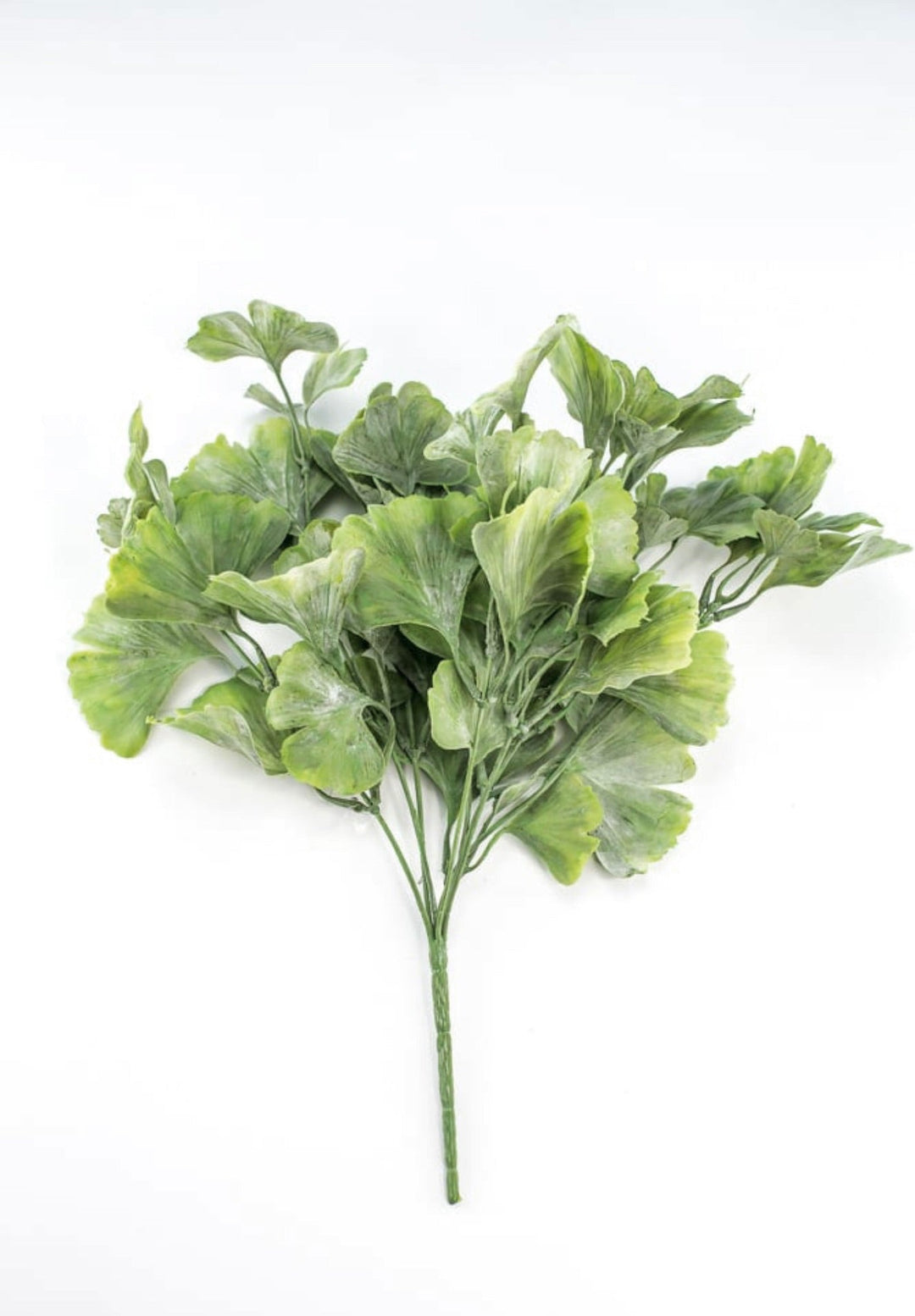Artificial Gingko biloba plant - Greenery MarketArtificial Flora82460 - frosted