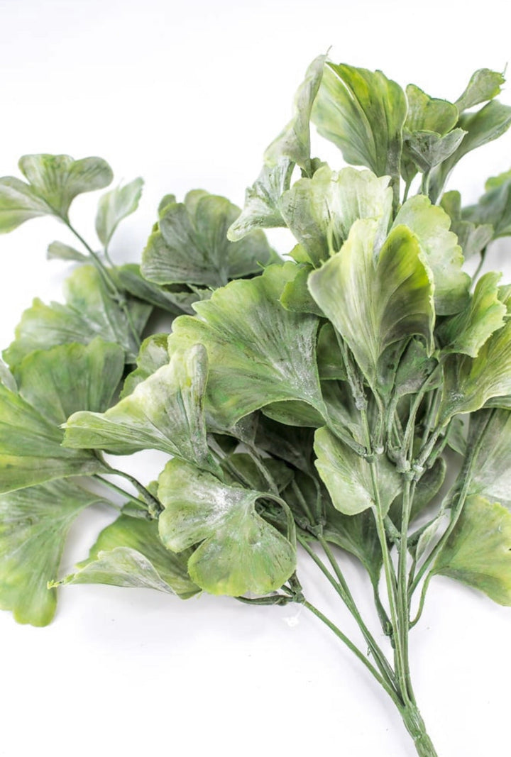 Artificial Gingko biloba plant - Greenery MarketArtificial Flora82460 - frosted