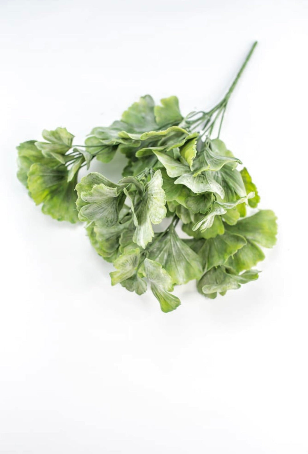 Artificial Gingko biloba plant - Greenery MarketArtificial Flora82460 - frosted