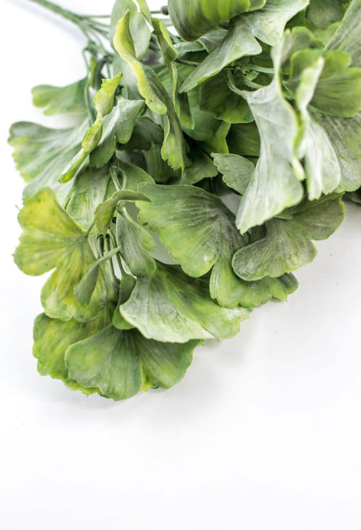 Artificial Gingko biloba plant - Greenery MarketArtificial Flora82460 - frosted