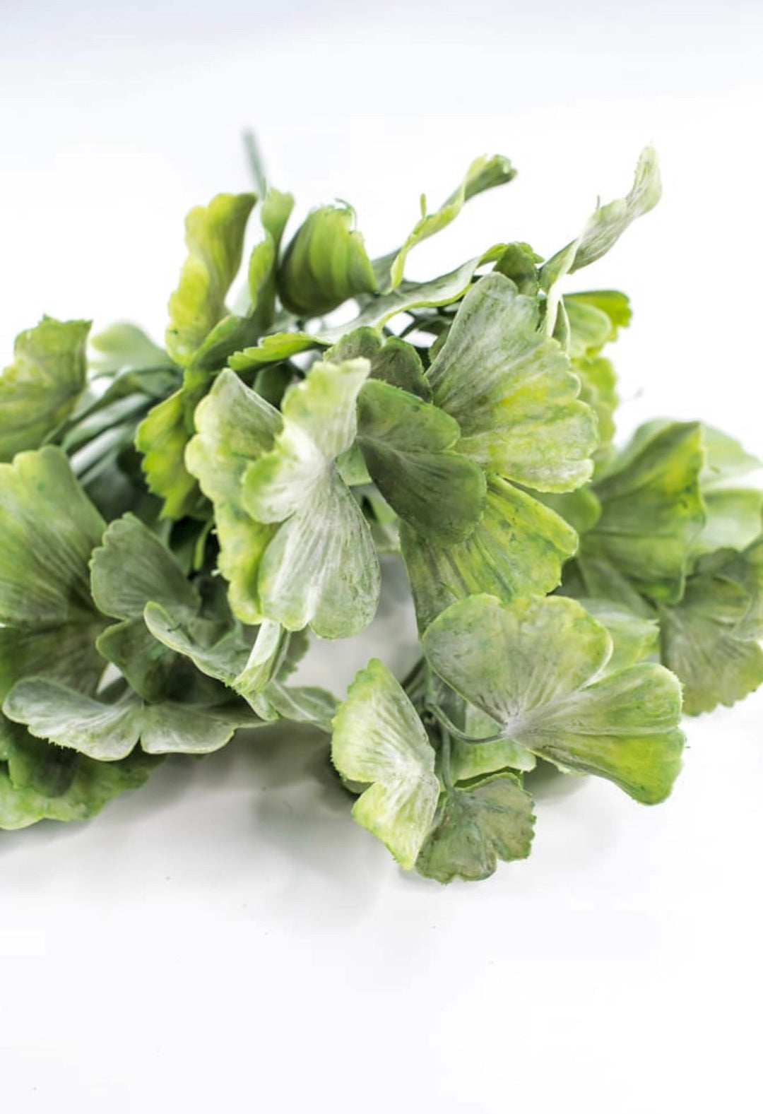 Artificial Gingko biloba plant - Greenery MarketArtificial Flora82460 - frosted