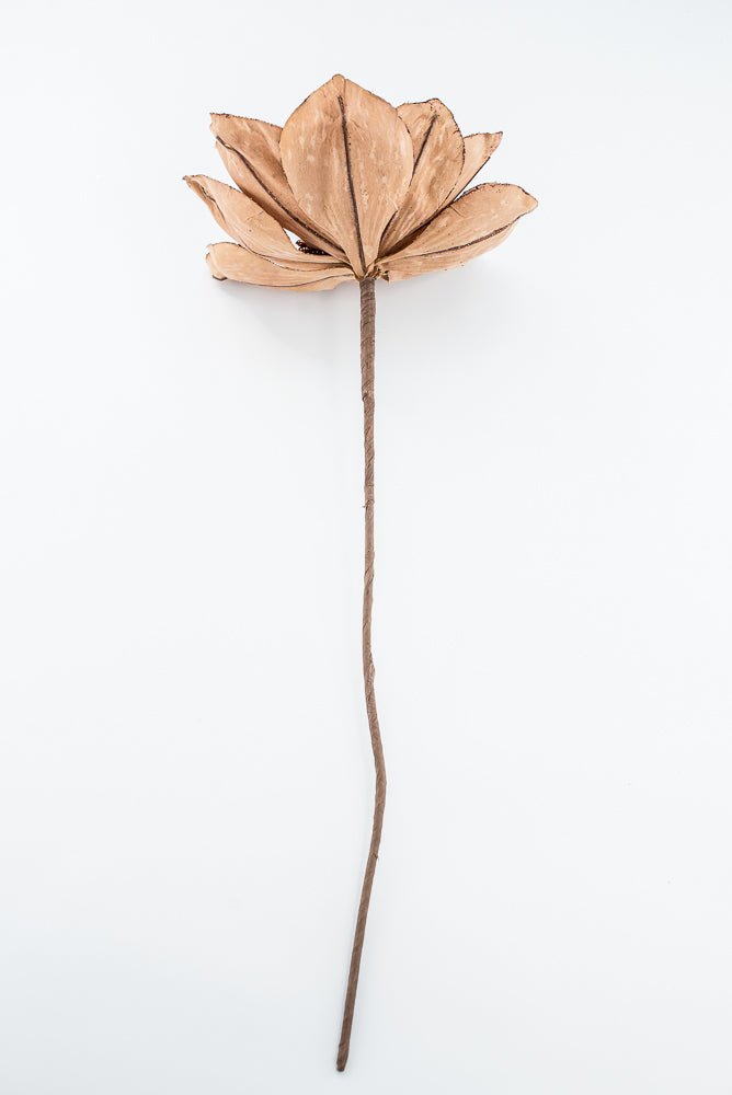 Artificial Golden Magnolia Stem - 21" - Greenery Market86939BE