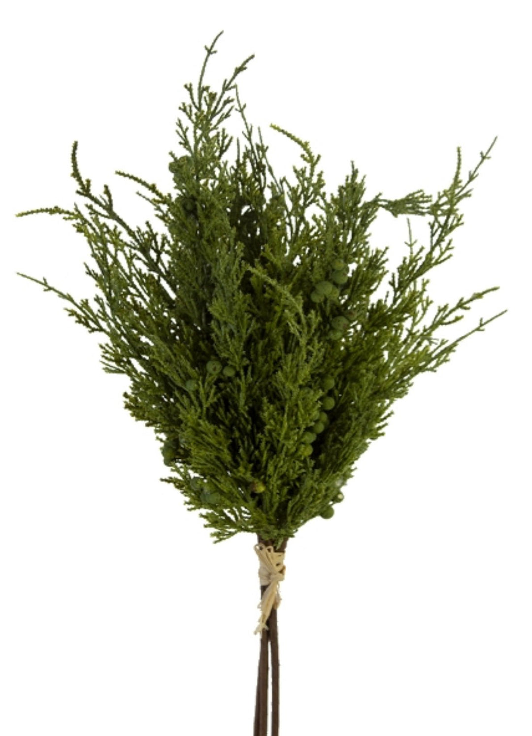 Artificial, Green, Cedar Berry Bundle - 22" - Greenery Market2825208GR