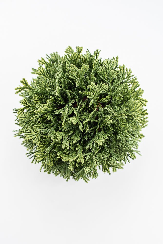 Artificial, Green, Cedar Orb Ball - 7" - Greenery Market2829138GR