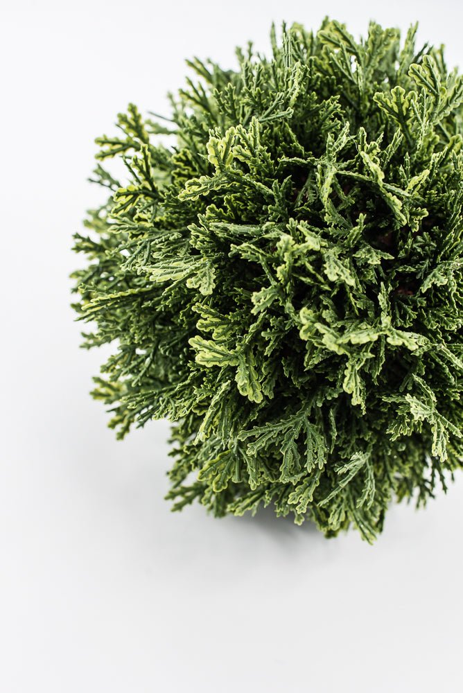 Artificial, Green, Cedar Orb Ball - 7" - Greenery Market2829138GR