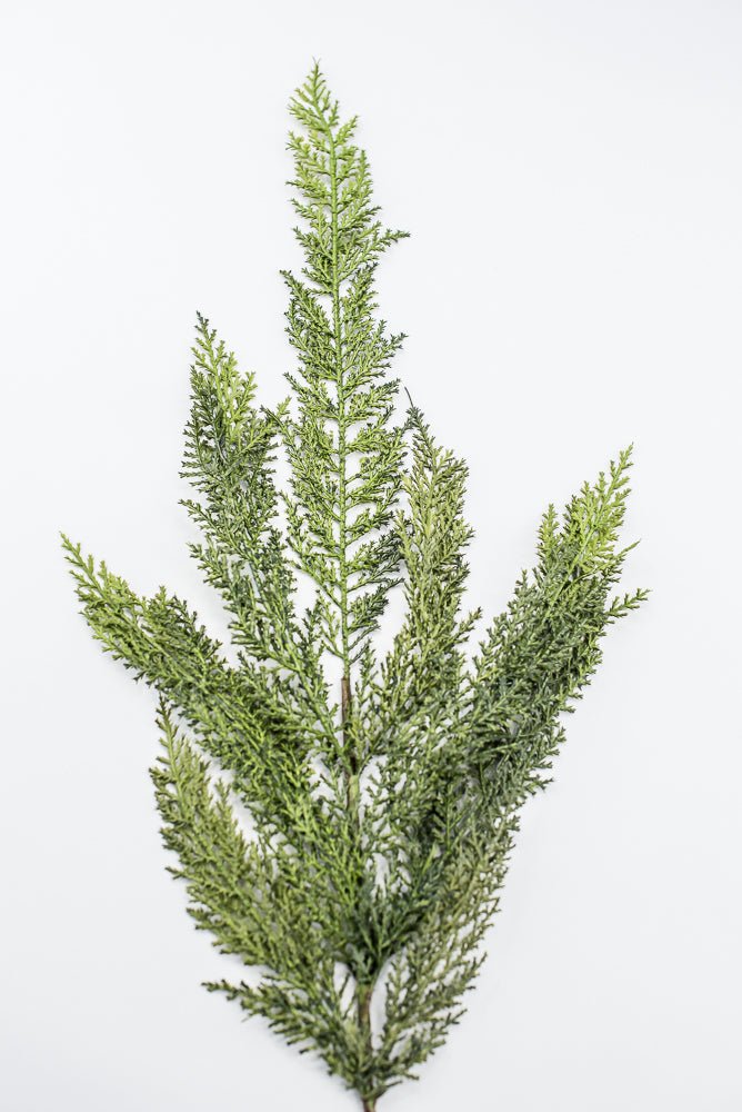 Artificial Green Cedar Spray - 30" - Greenery MarketArtificial FloraXD646/30-G