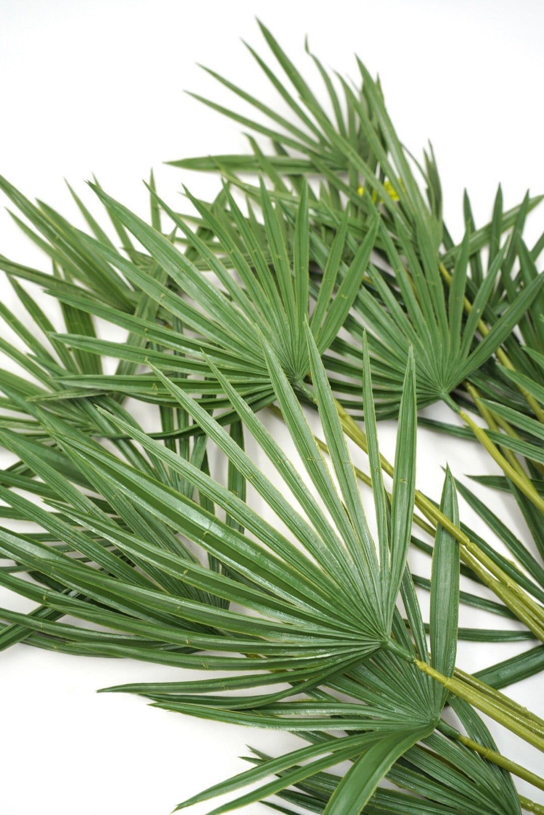Artificial, Green, Fan Palm Bush - 28" - Greenery MarketArtificial Flowers13691GN