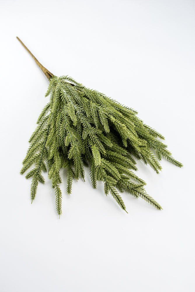 Artificial, Green, Frosted Norfolk Pine Bush - 22" - Greenery MarketArtificial Flora65888-LT.GN