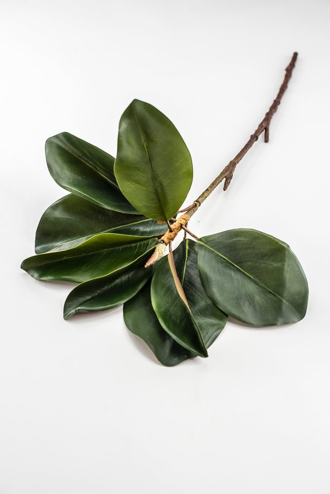 Artificial Green Magnolia Leaf Spray - 23" - Greenery MarketFL7450