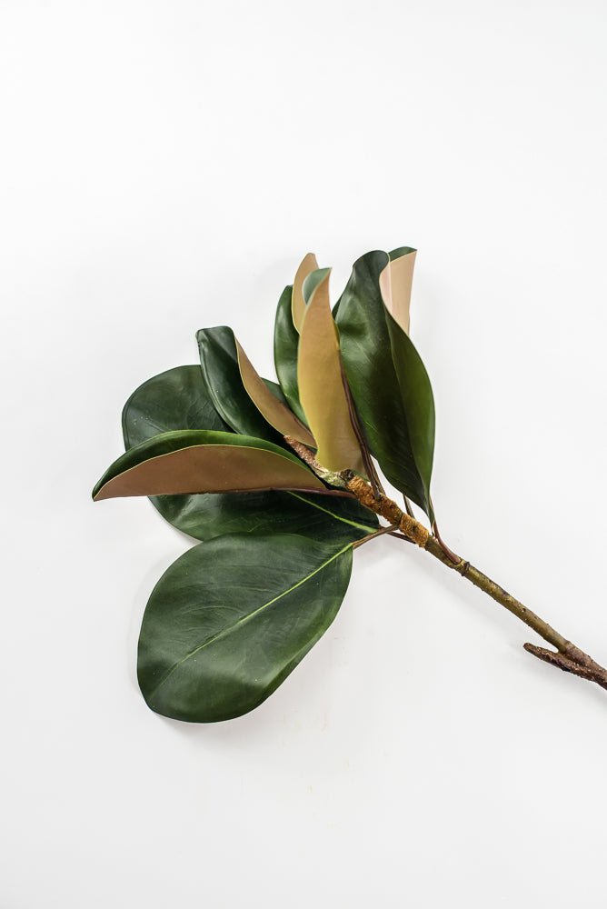 Artificial Green Magnolia Leaf Spray - 23" - Greenery MarketFL7450