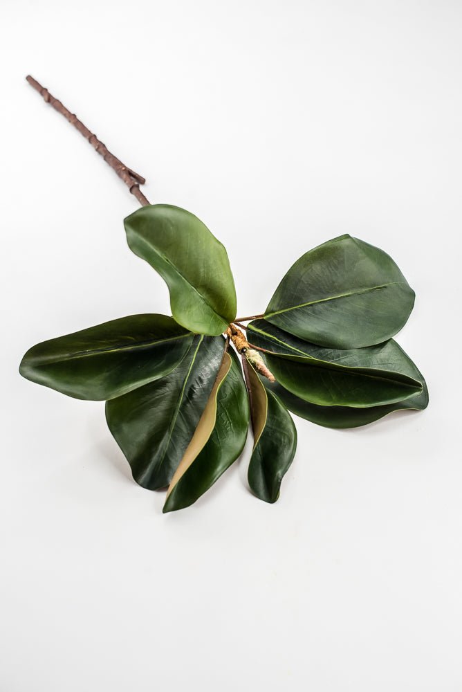 Artificial Green Magnolia Leaf Spray - 23" - Greenery MarketFL7450