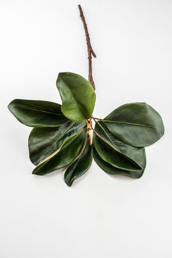 Artificial Green Magnolia Leaf Spray - 23" - Greenery MarketFL7450