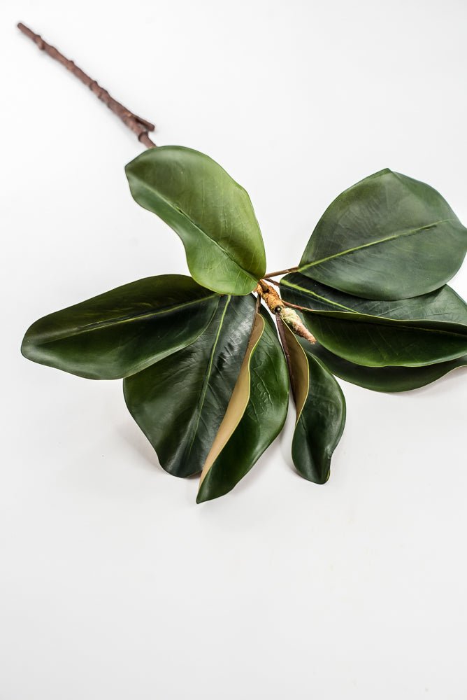 Artificial Green Magnolia Leaf Spray - 23" - Greenery MarketFL7450