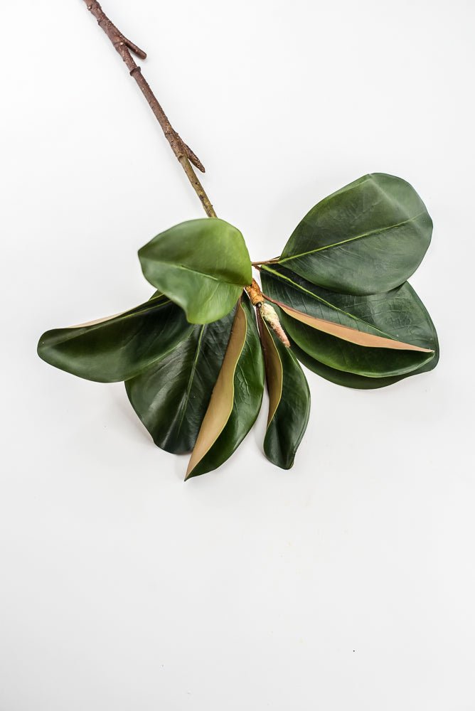 Artificial Green Magnolia Leaf Spray - 23" - Greenery MarketFL7450