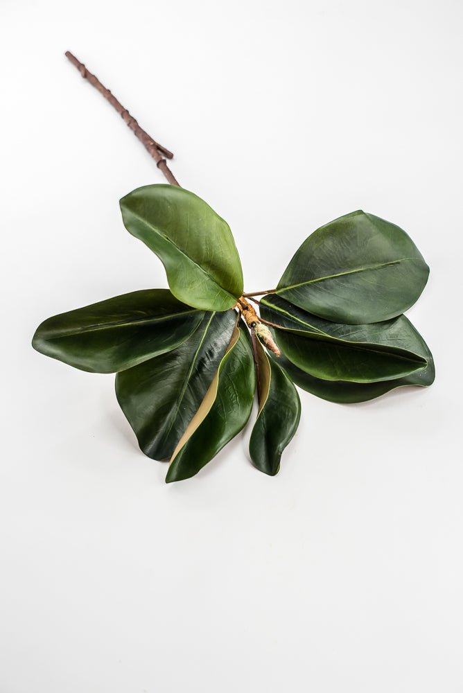 Artificial Green Magnolia Leaf Spray - 23" - Greenery MarketFL7450